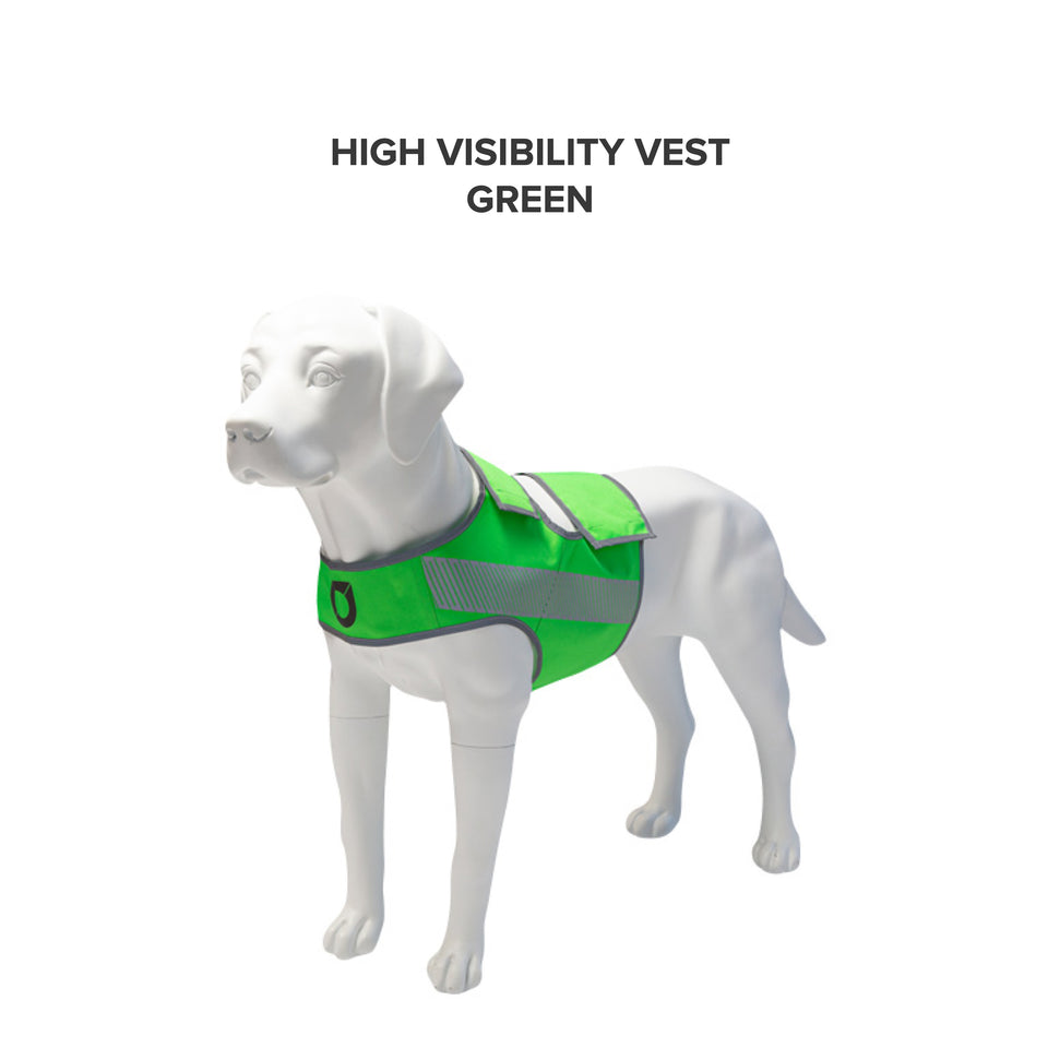 High Visibility SAR Vest